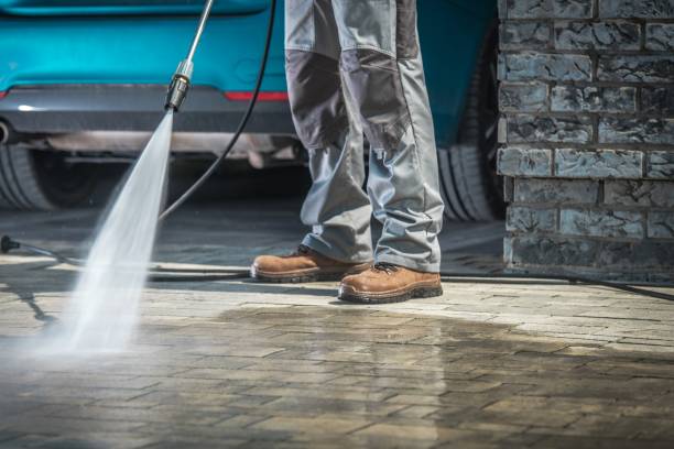 Best Roof Washing  in Wells Branch, TX