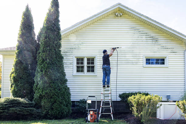 Professional  Pressure Washing Services in Wells Branch, TX